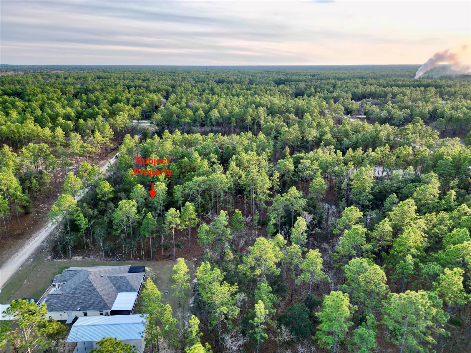 TBD SW 124TH TERRACE RD, OCALA, FL, 34481
