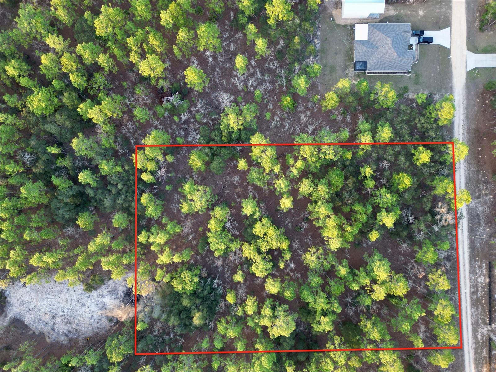 TBD SW 124TH TERRACE RD, OCALA, FL, 34481