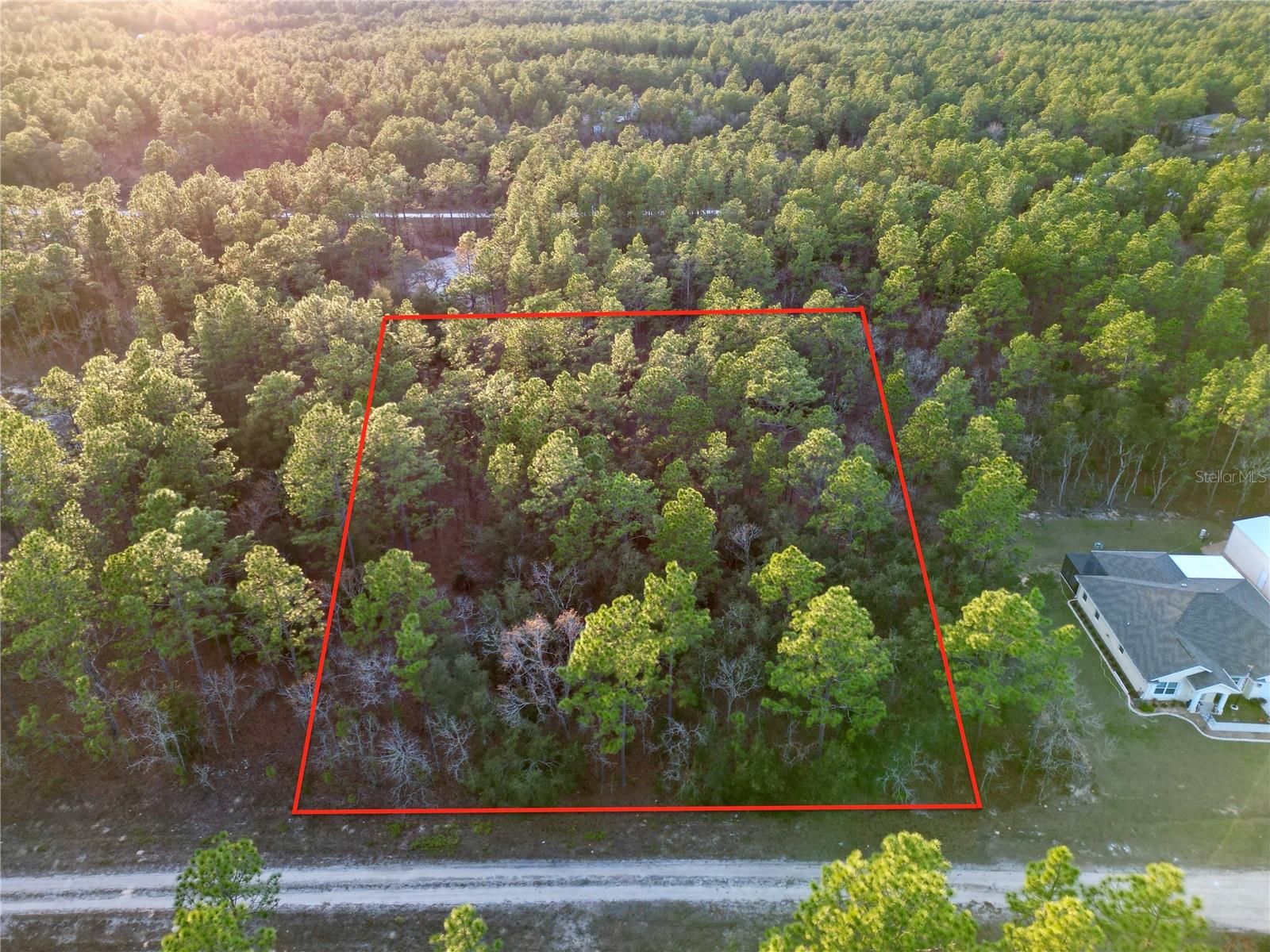 TBD SW 124TH TERRACE RD, OCALA, FL, 34481