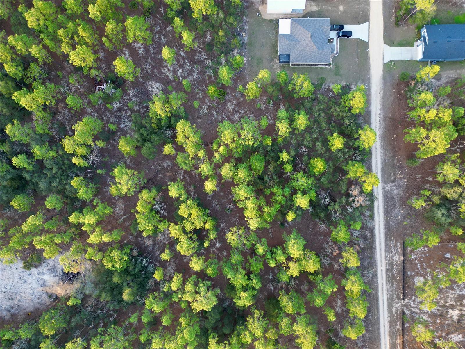 TBD SW 124TH TERRACE RD, OCALA, FL, 34481
