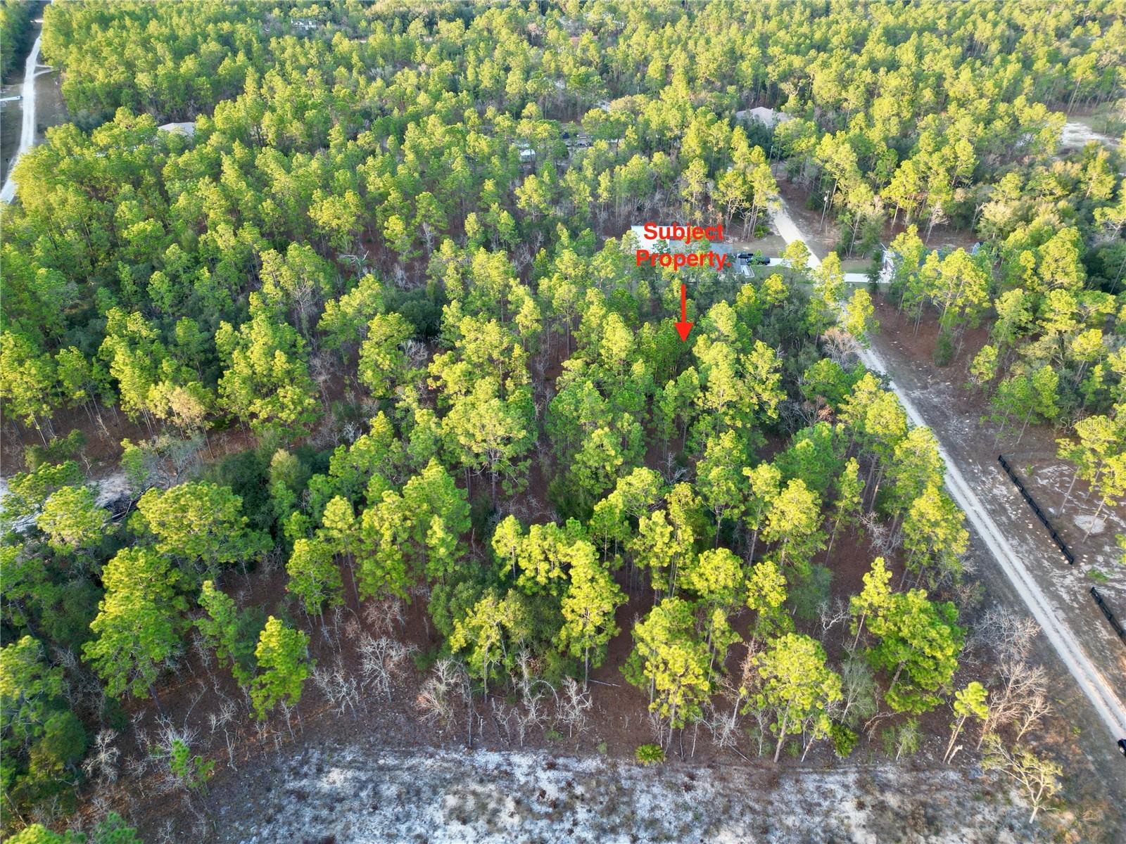 TBD SW 124TH TERRACE RD, OCALA, FL, 34481