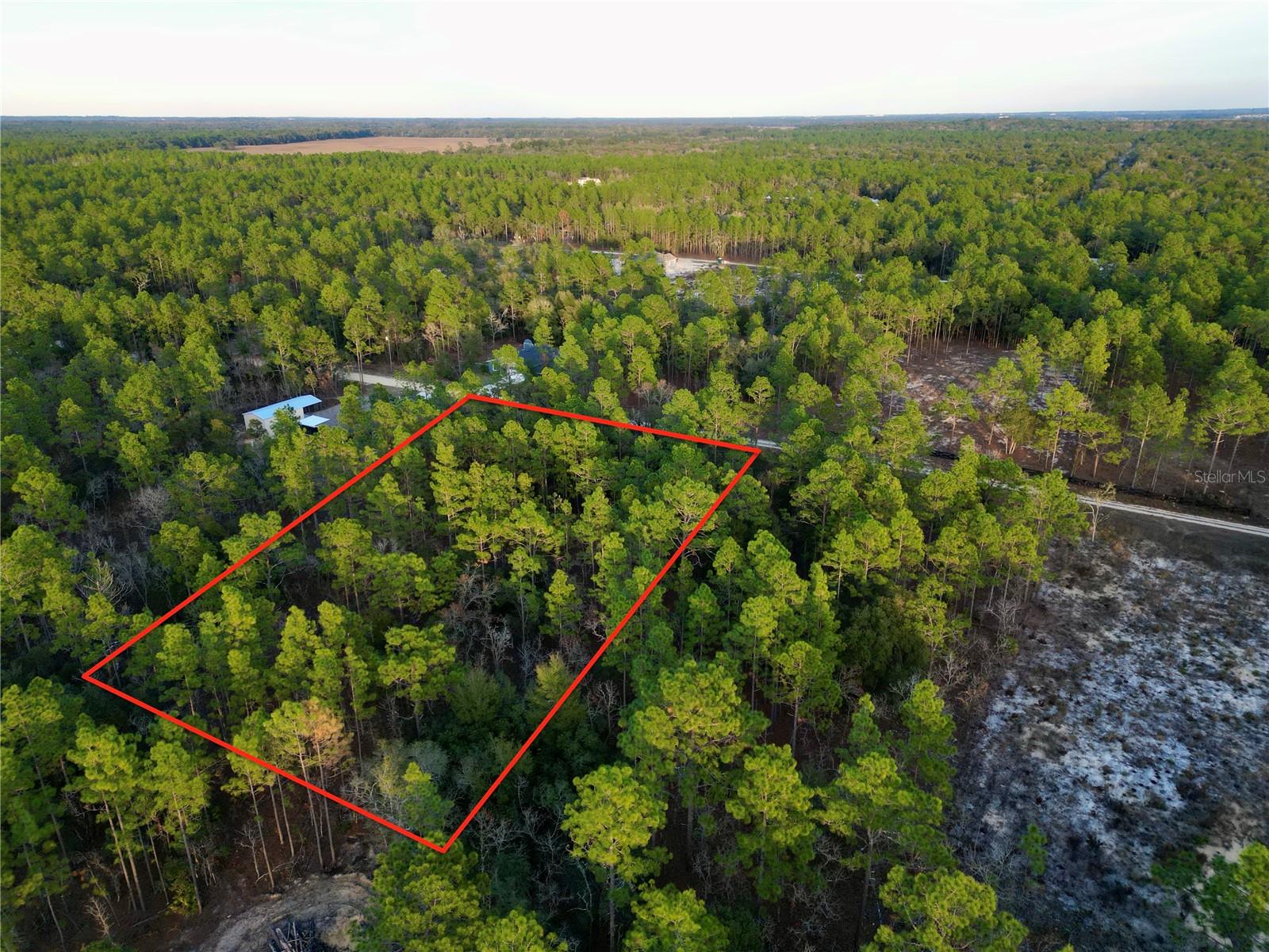 TBD SW 124TH TERRACE RD, OCALA, FL, 34481