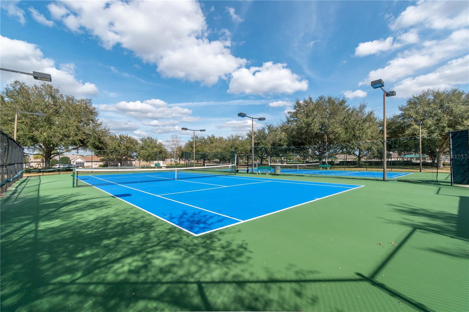 1338 SW 161ST PL, OCALA, FL, 34473