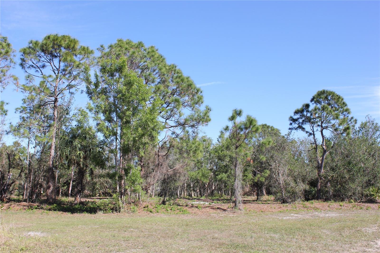 12504 FIESTA CIR, PUNTA GORDA, FL, 33955