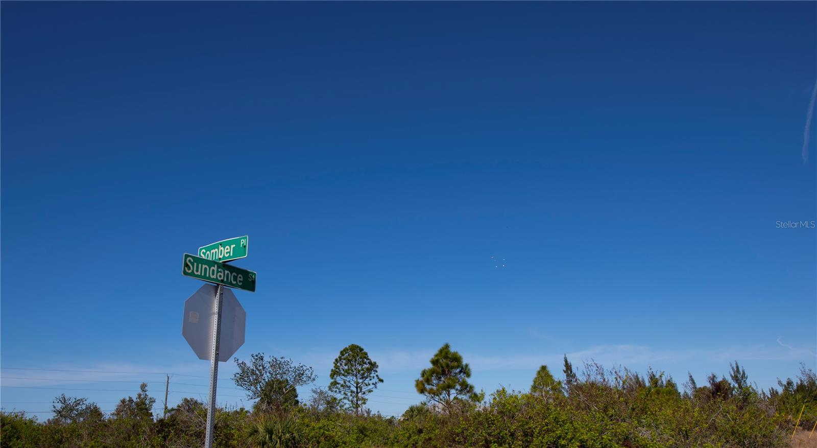 9501 SUNDANCE ST, PORT CHARLOTTE, FL, 33981