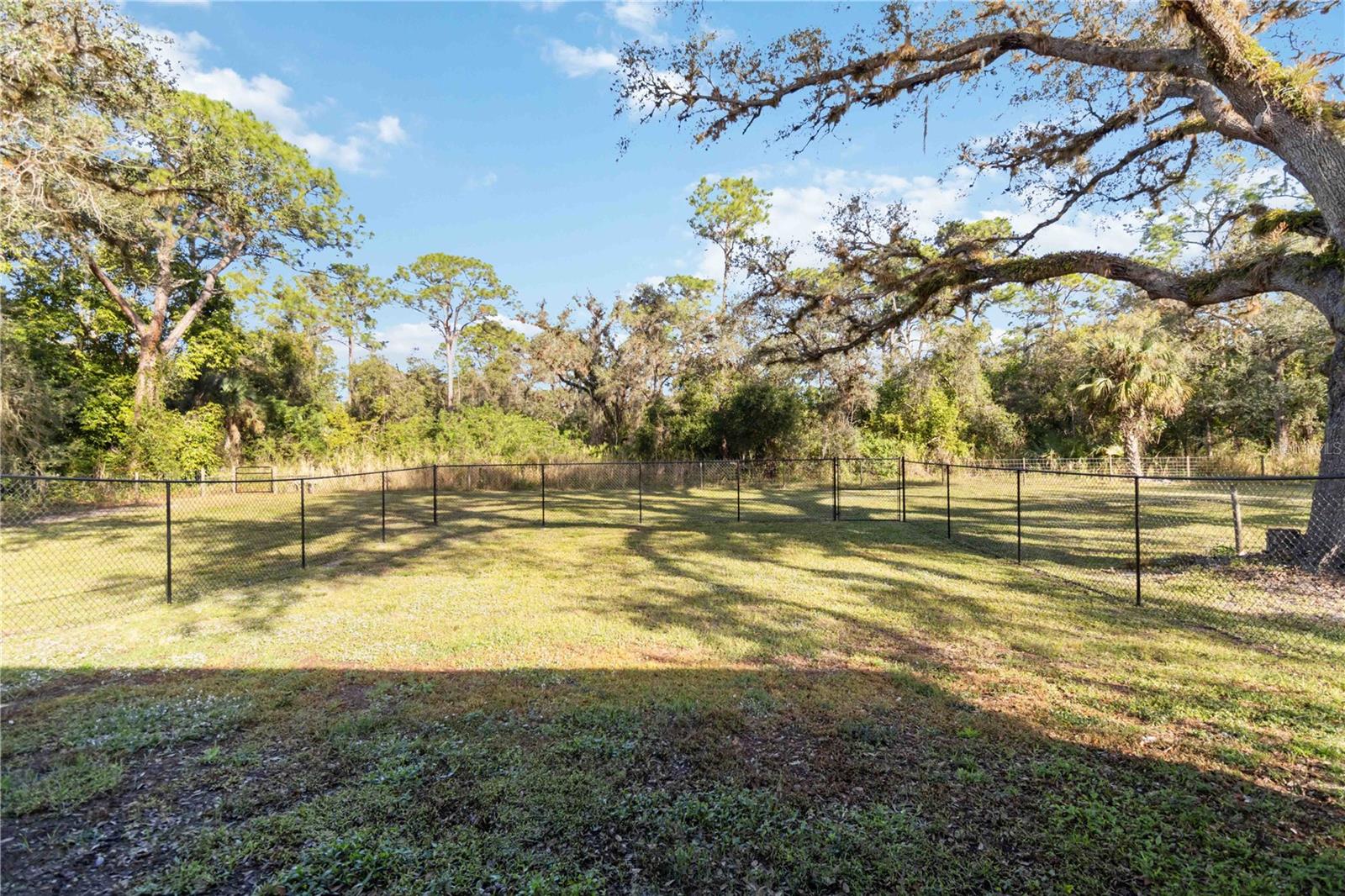 2391 LIPPINCOTT RD, ALVA, FL, 33920