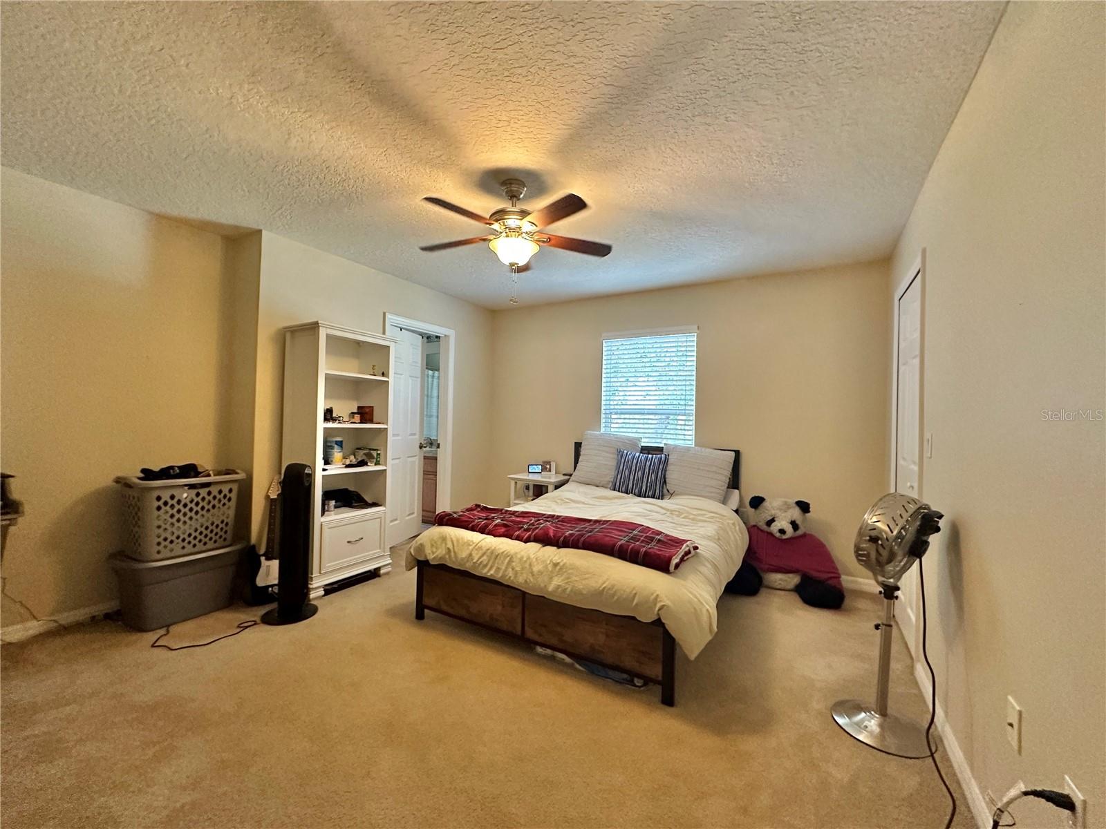 4410 PINE GOLD AVE, APOPKA, FL, 32712
