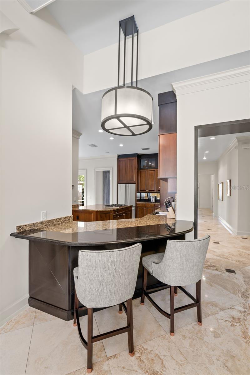4520 W WOODMERE RD, TAMPA, FL, 33609