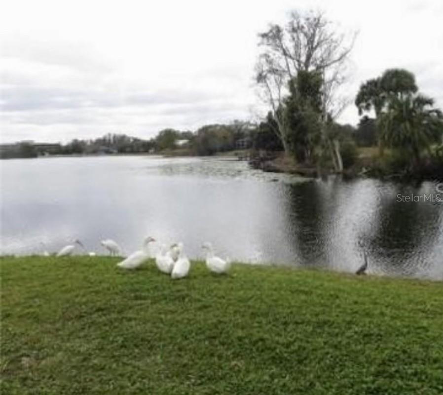 948 LAKE DESTINY RD #G, ALTAMONTE SPRINGS, FL, 32714