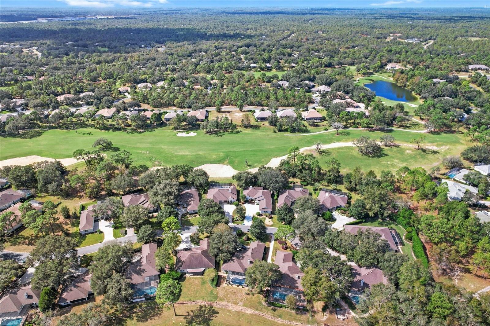 3220 N PINELAKE VILLAGE PT, LECANTO, FL, 34461