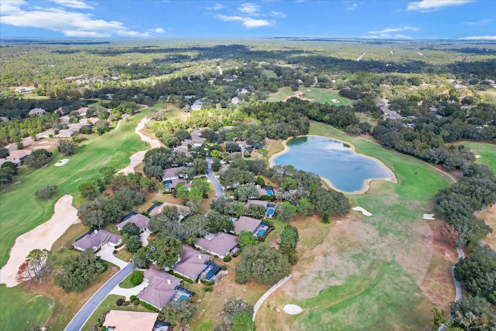 3220 N PINELAKE VILLAGE PT, LECANTO, FL, 34461