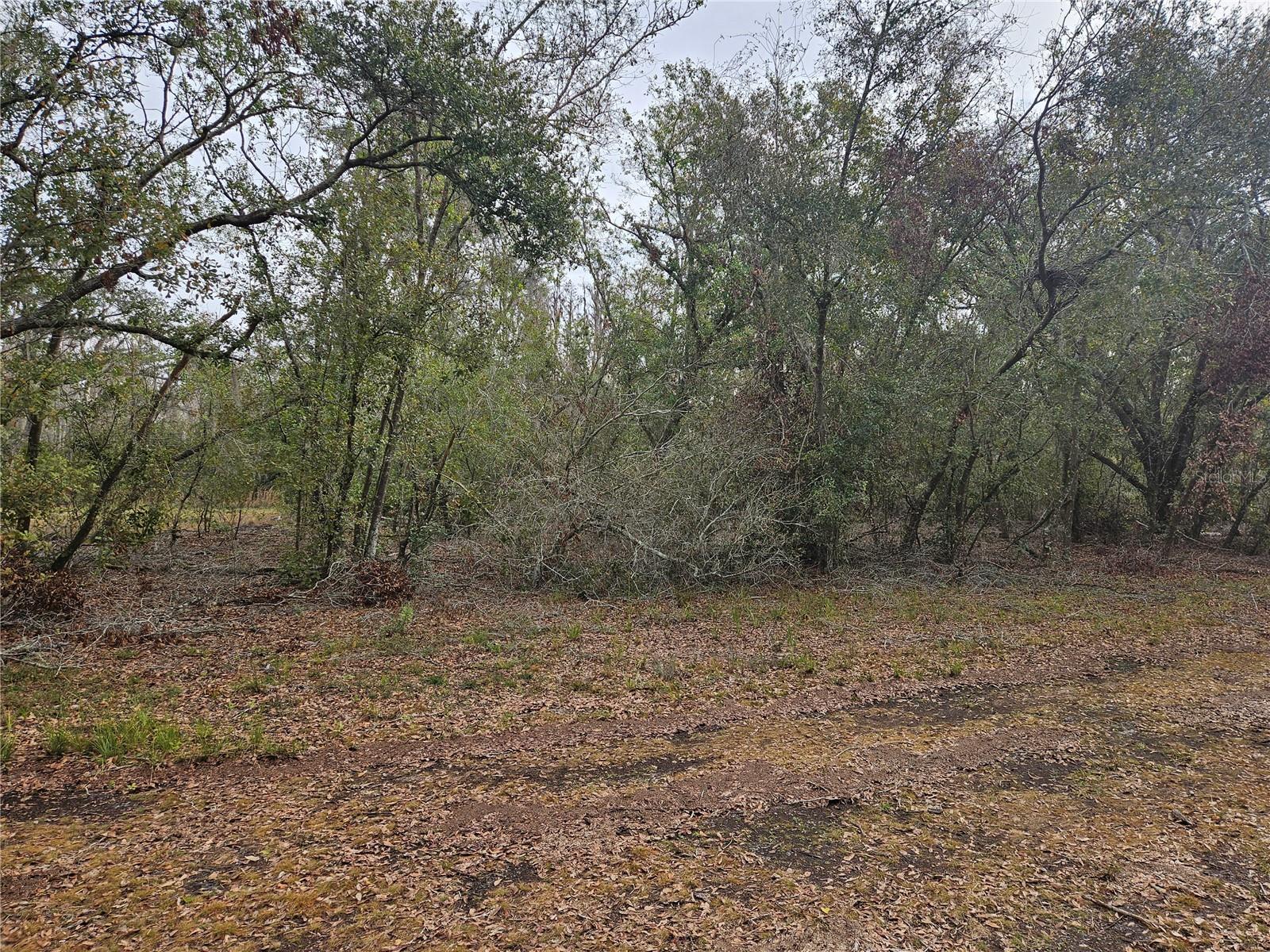 CANDIS RD, PLANT CITY, FL, 33565