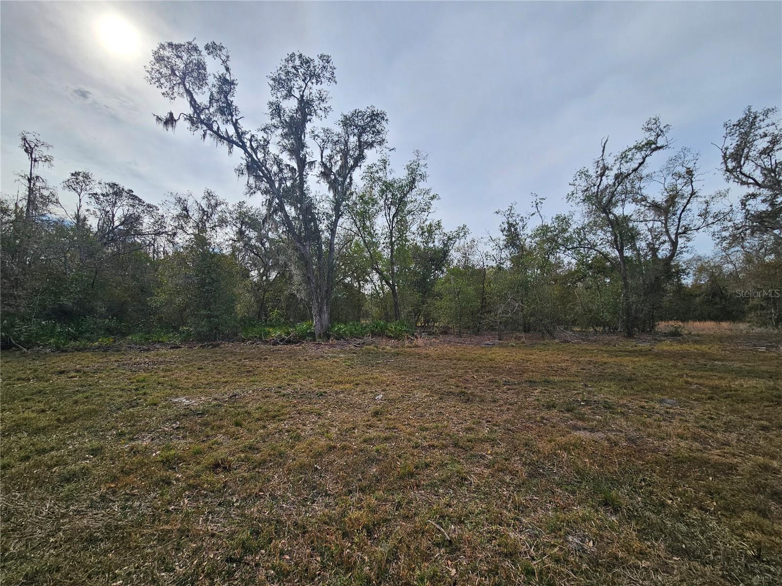 CANDIS RD, PLANT CITY, FL, 33565