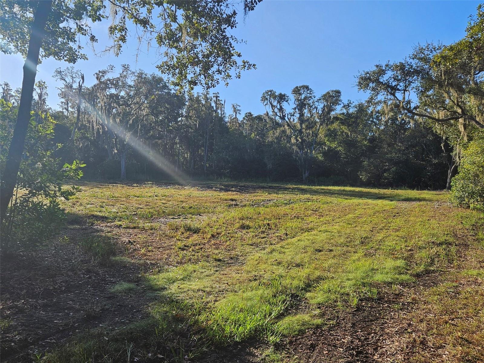 CANDIS RD, PLANT CITY, FL, 33565