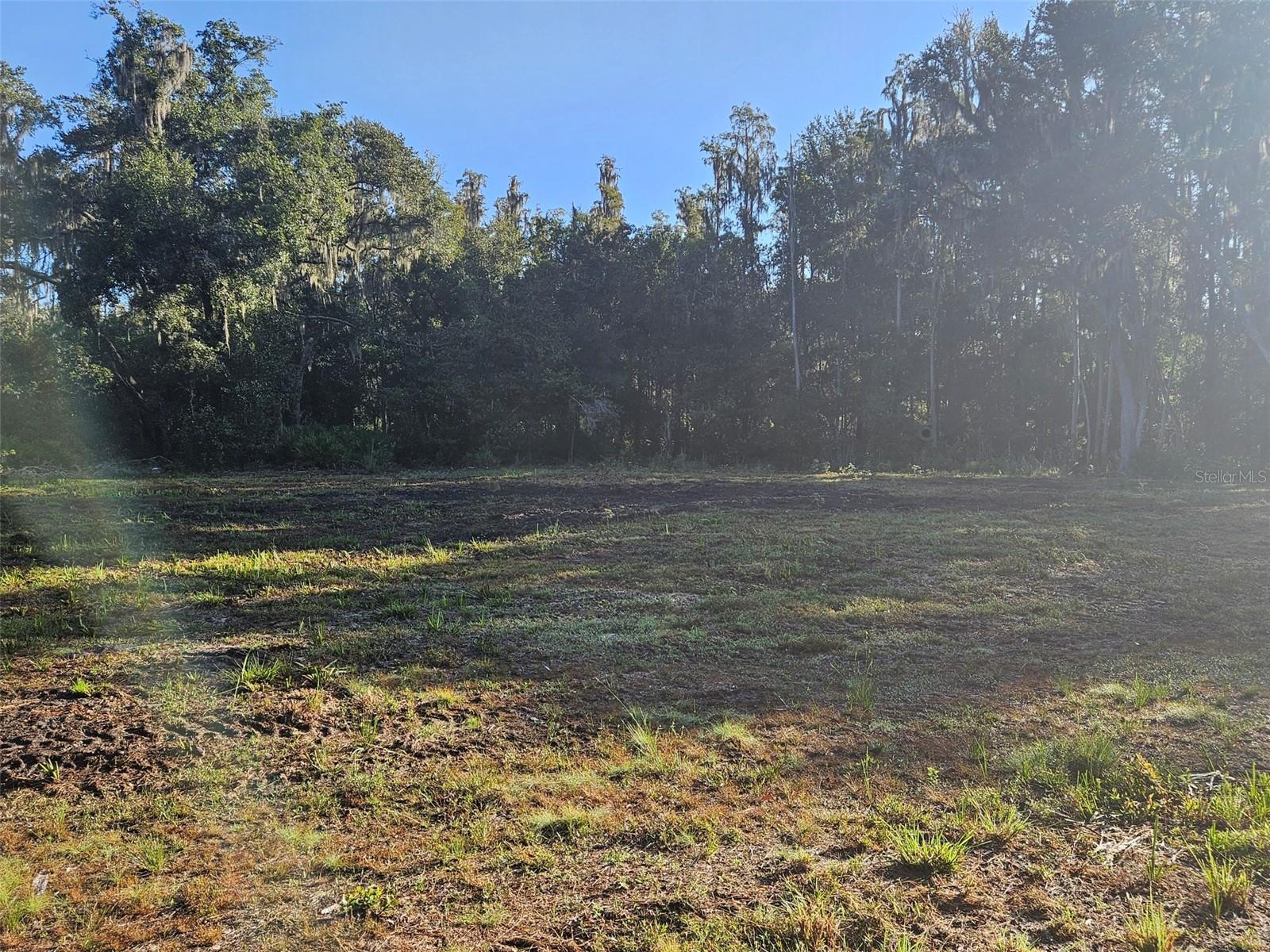 CANDIS RD, PLANT CITY, FL, 33565