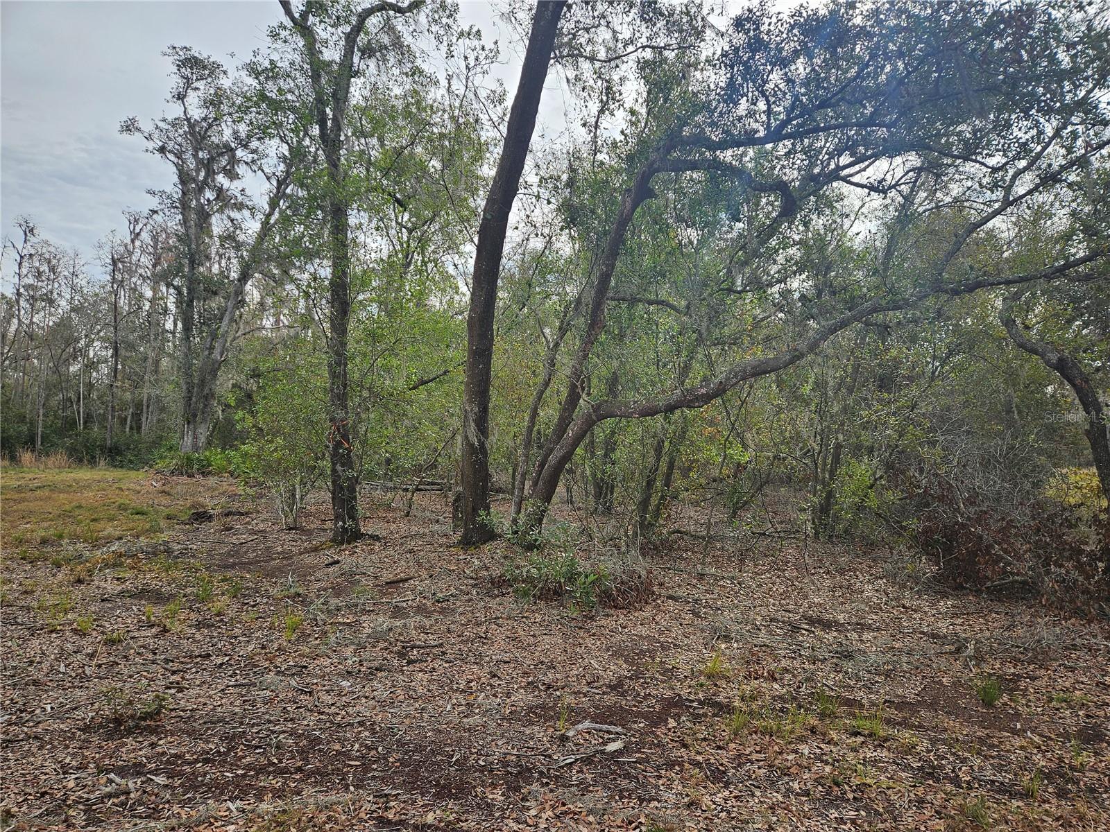 CANDIS RD, PLANT CITY, FL, 33565