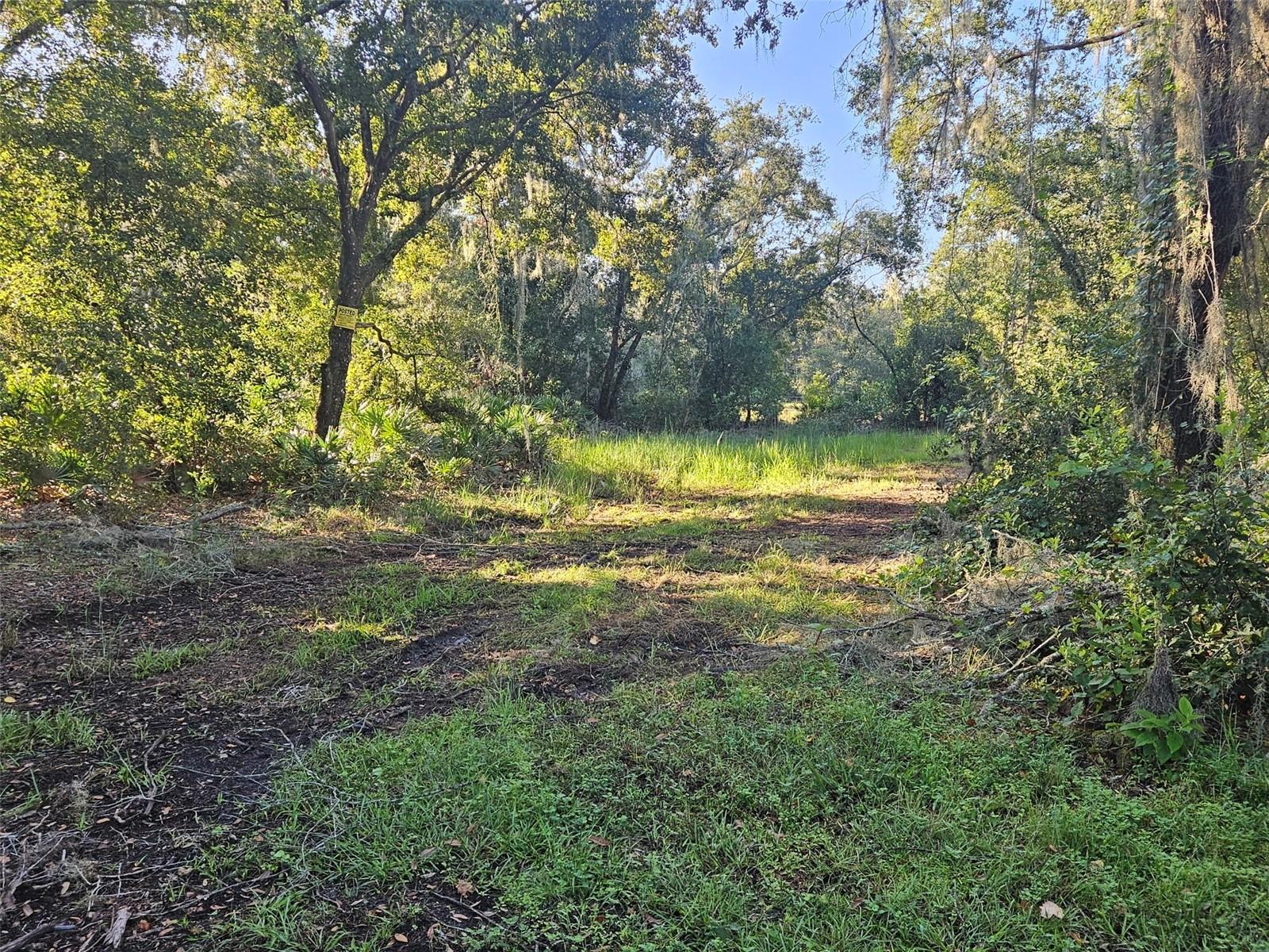CANDIS RD, PLANT CITY, FL, 33565