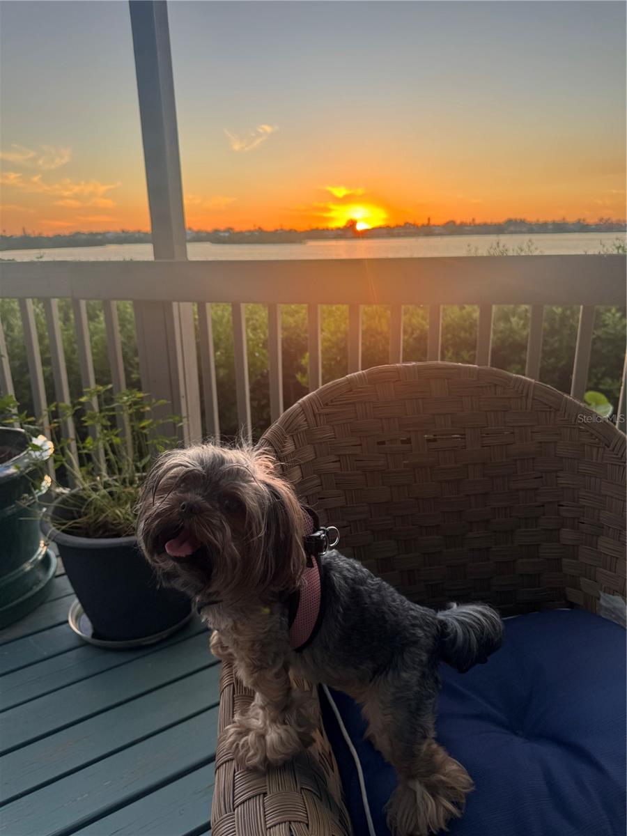 1323 LANDINGS DR #12, SARASOTA, FL, 34231