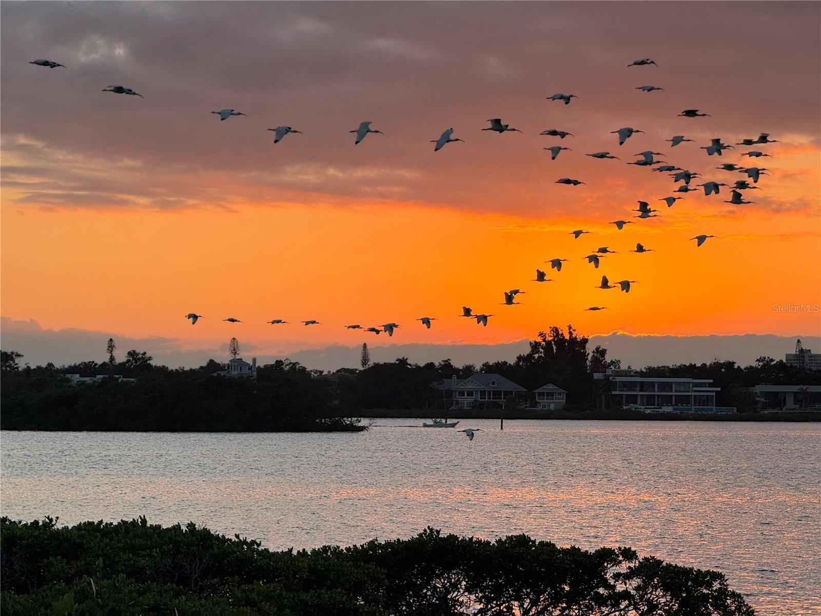 1323 LANDINGS DR #12, SARASOTA, FL, 34231