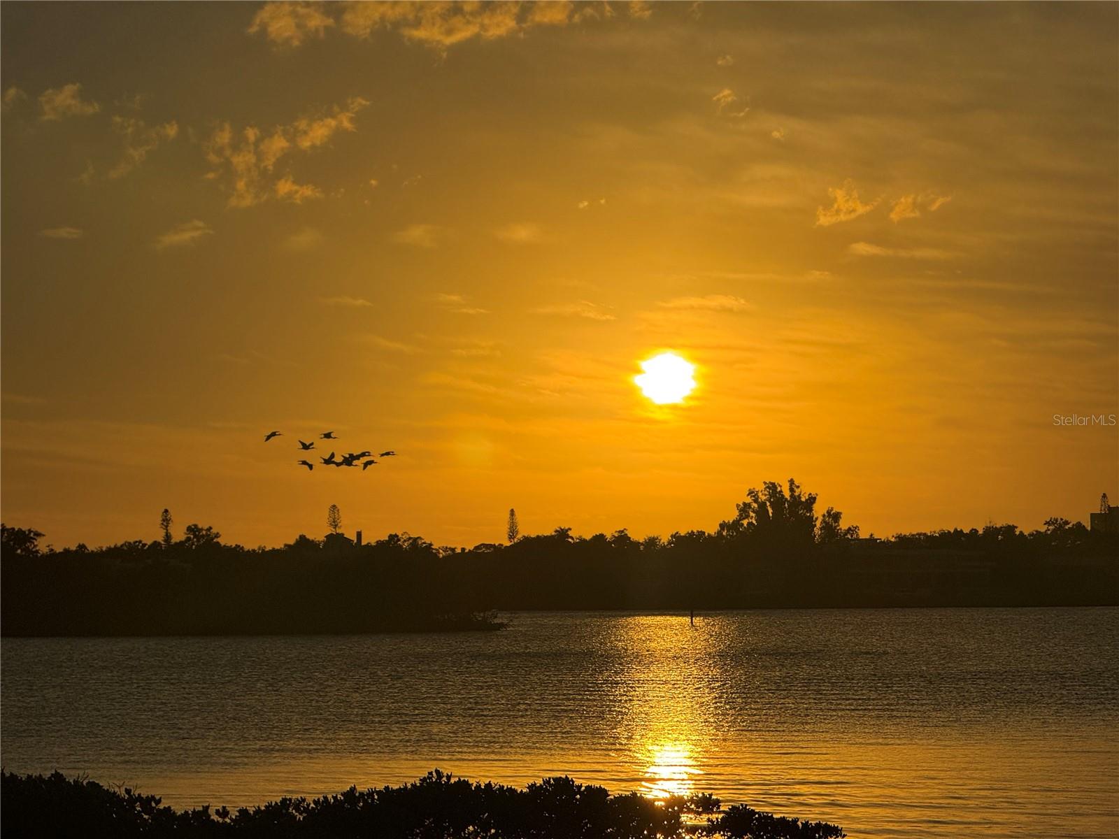 1323 LANDINGS DR #12, SARASOTA, FL, 34231