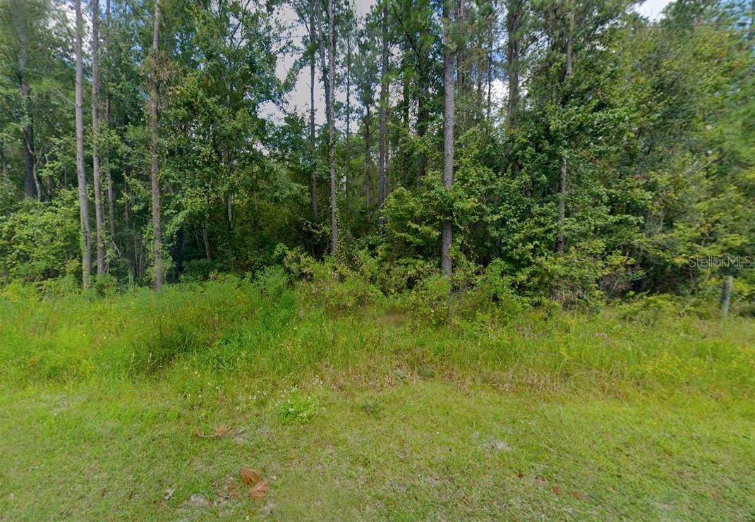 0 MERSHON ST, LAKE CITY, FL, 32055