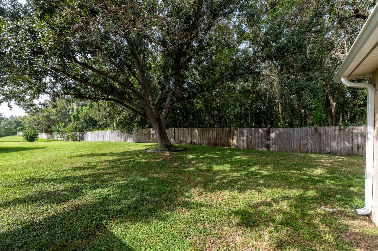 3327 MICHENER PL, PLANT CITY, FL, 33566