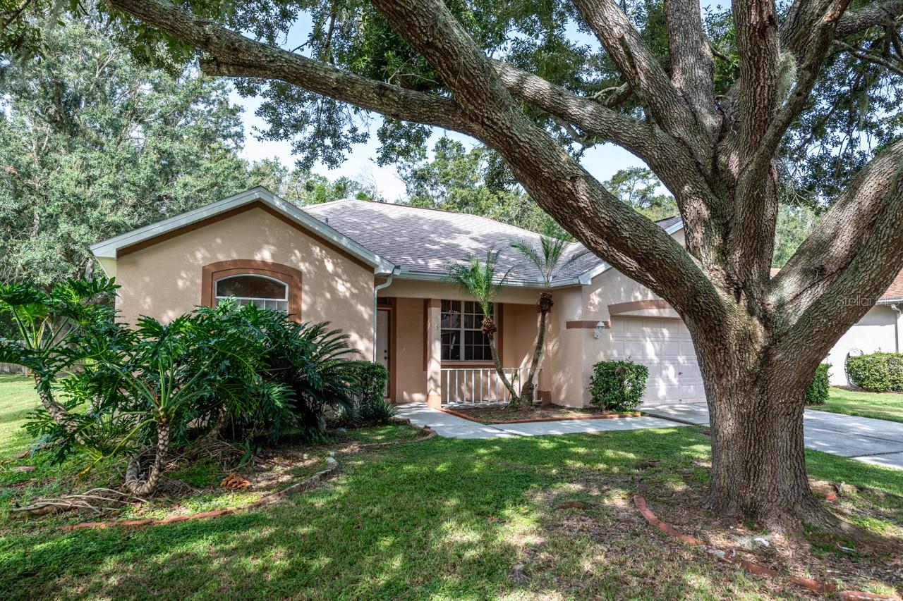 3327 MICHENER PL, PLANT CITY, FL, 33566
