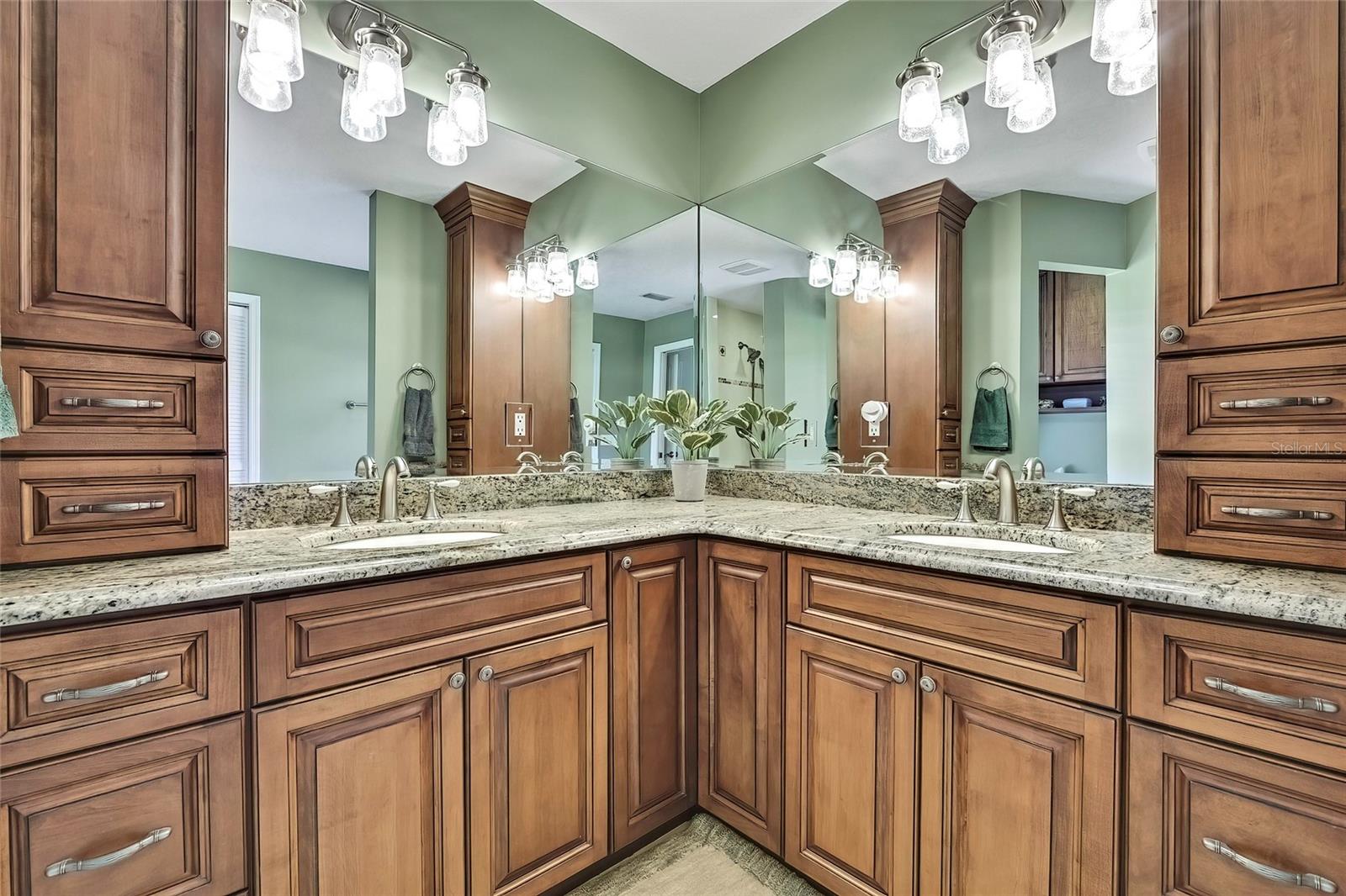 19505 COACHLIGHT WAY, LUTZ, FL, 33549