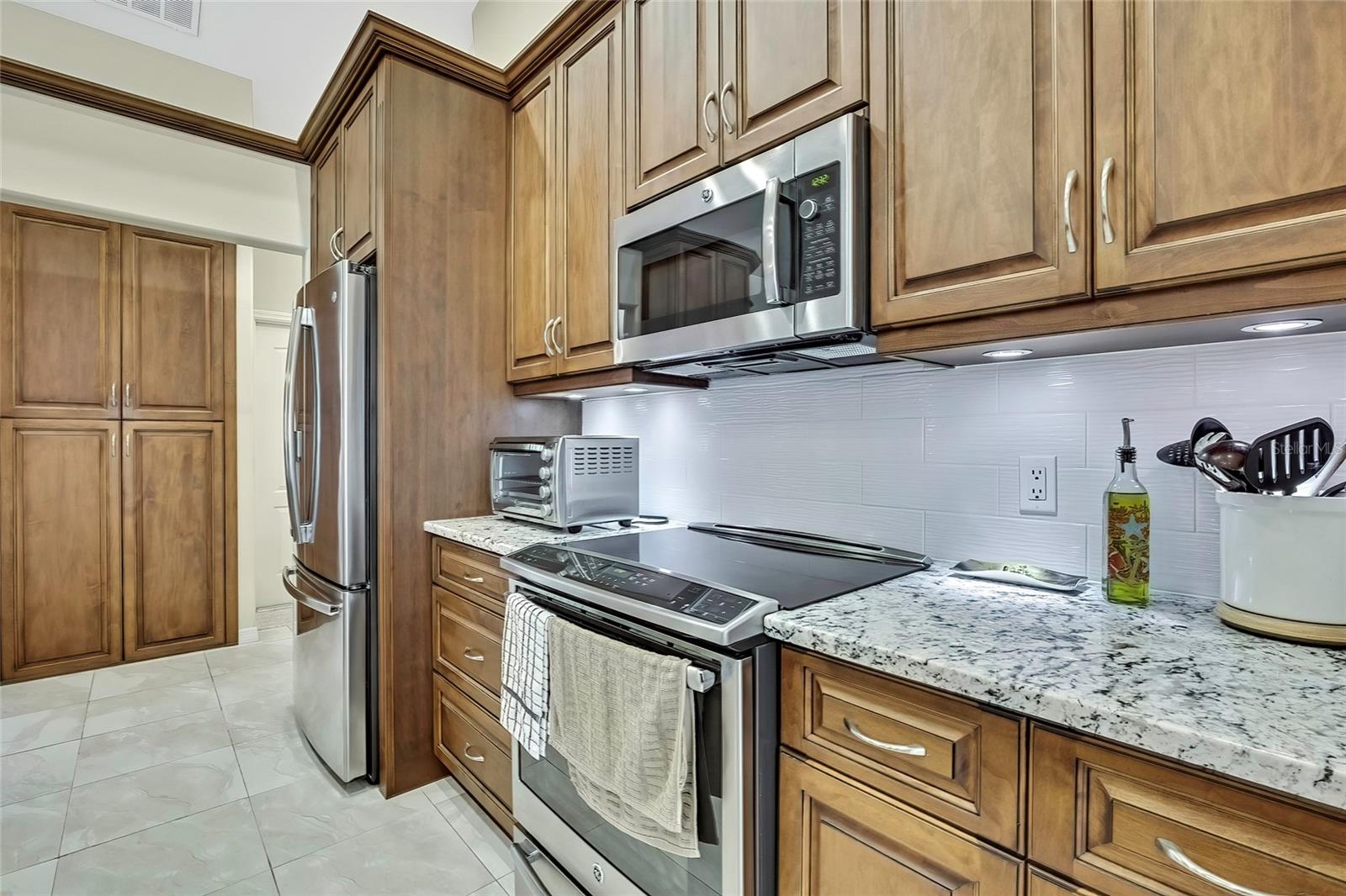19505 COACHLIGHT WAY, LUTZ, FL, 33549