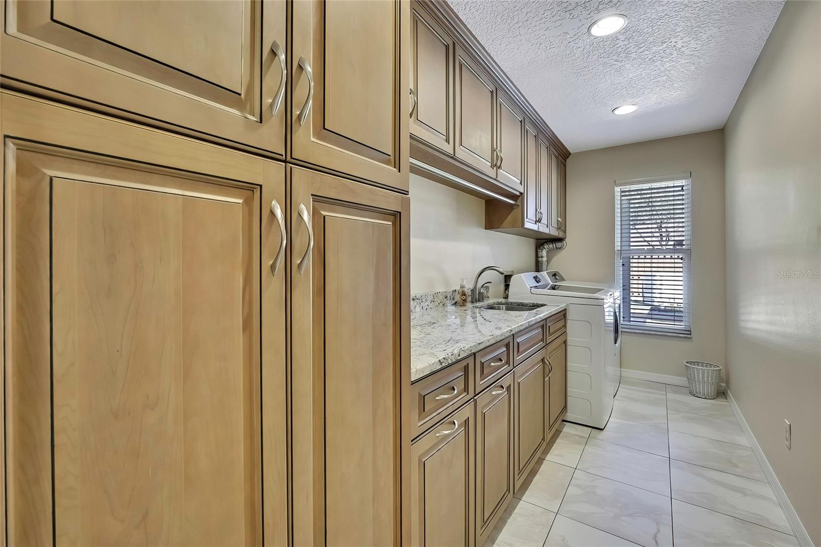 19505 COACHLIGHT WAY, LUTZ, FL, 33549