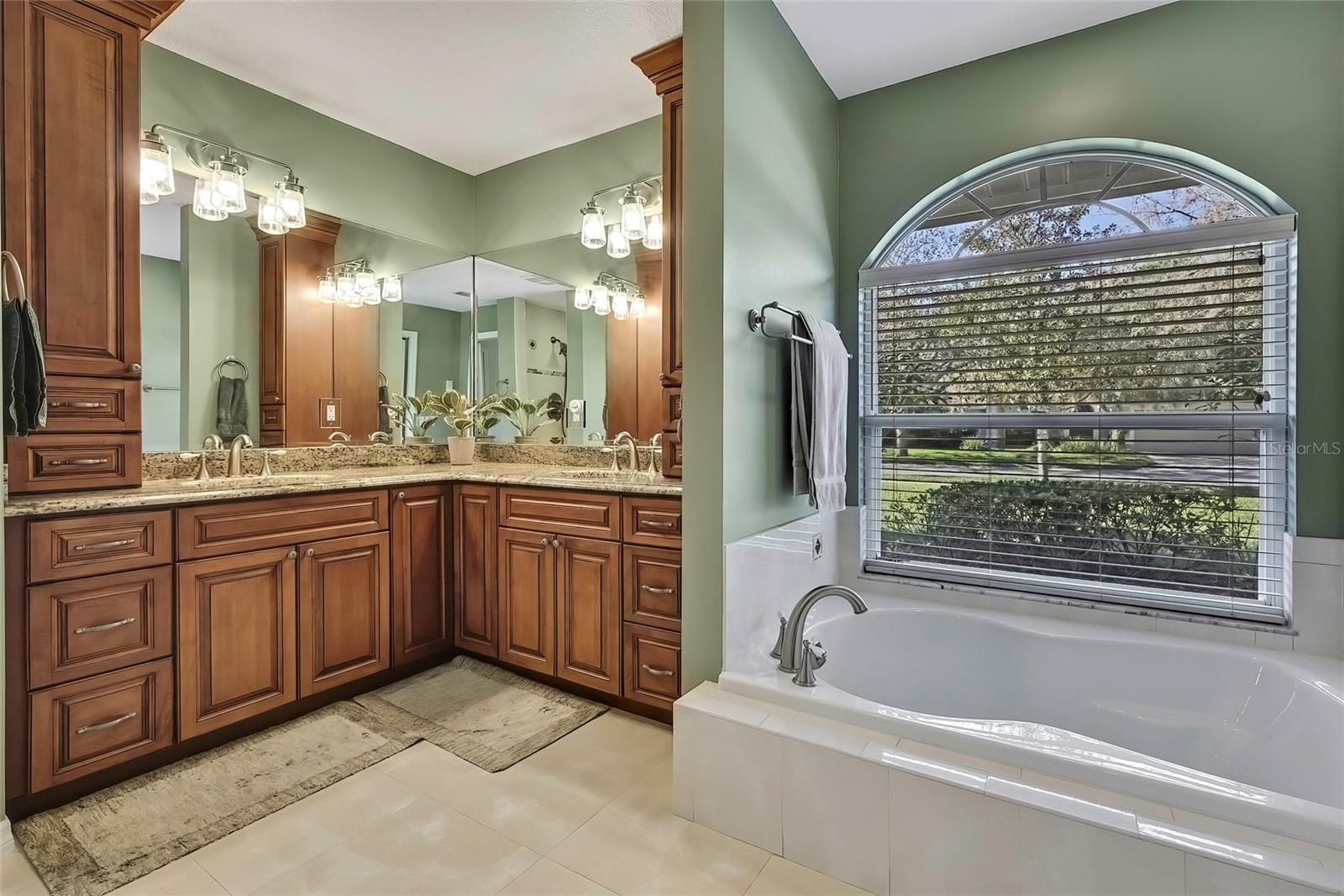 19505 COACHLIGHT WAY, LUTZ, FL, 33549
