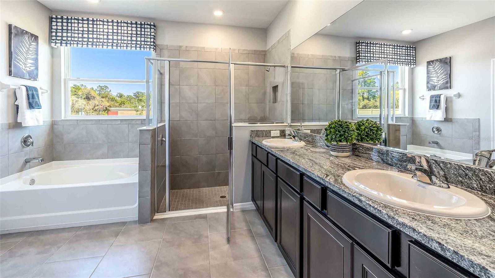 10609 BRIDGEGATE HEIGHTS LOOP, SAN ANTONIO, FL, 33576