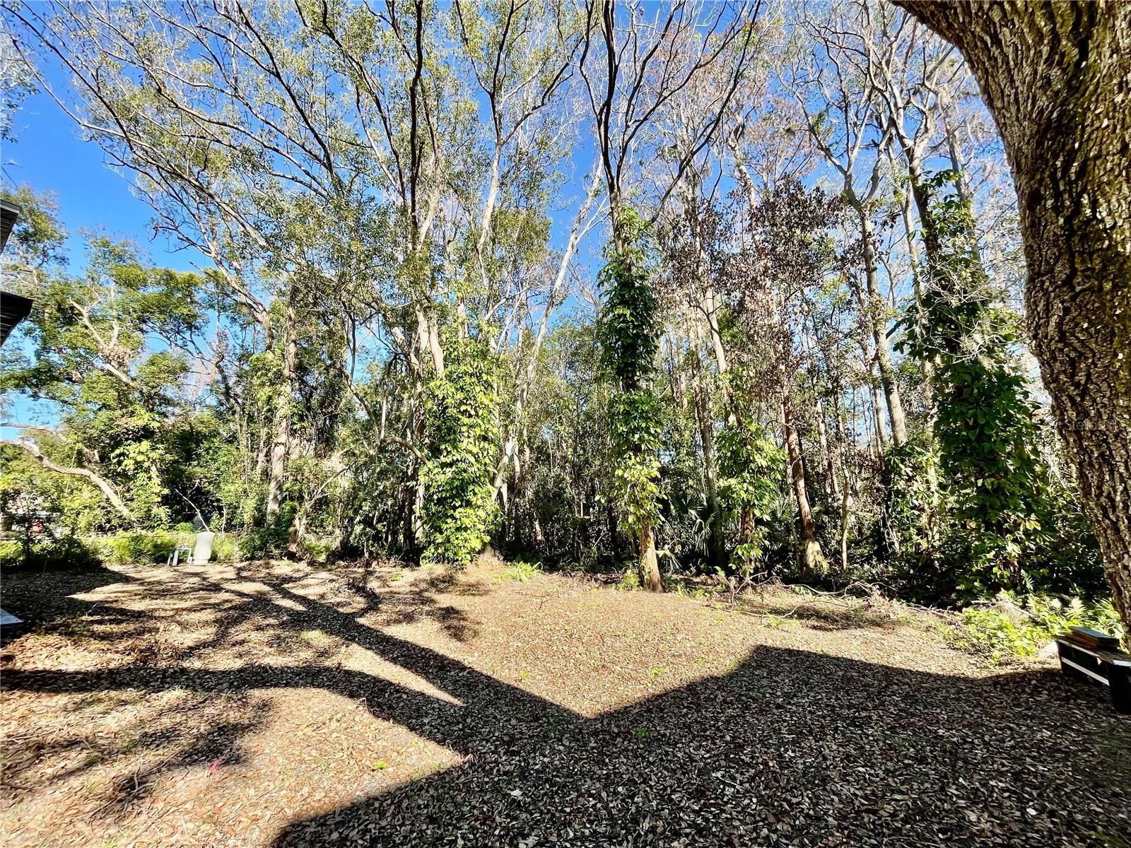 16417 LAKE BYRD DR, TAMPA, FL, 33618