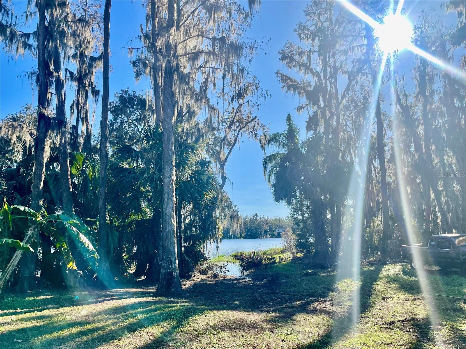 16417 LAKE BYRD DR, TAMPA, FL, 33618