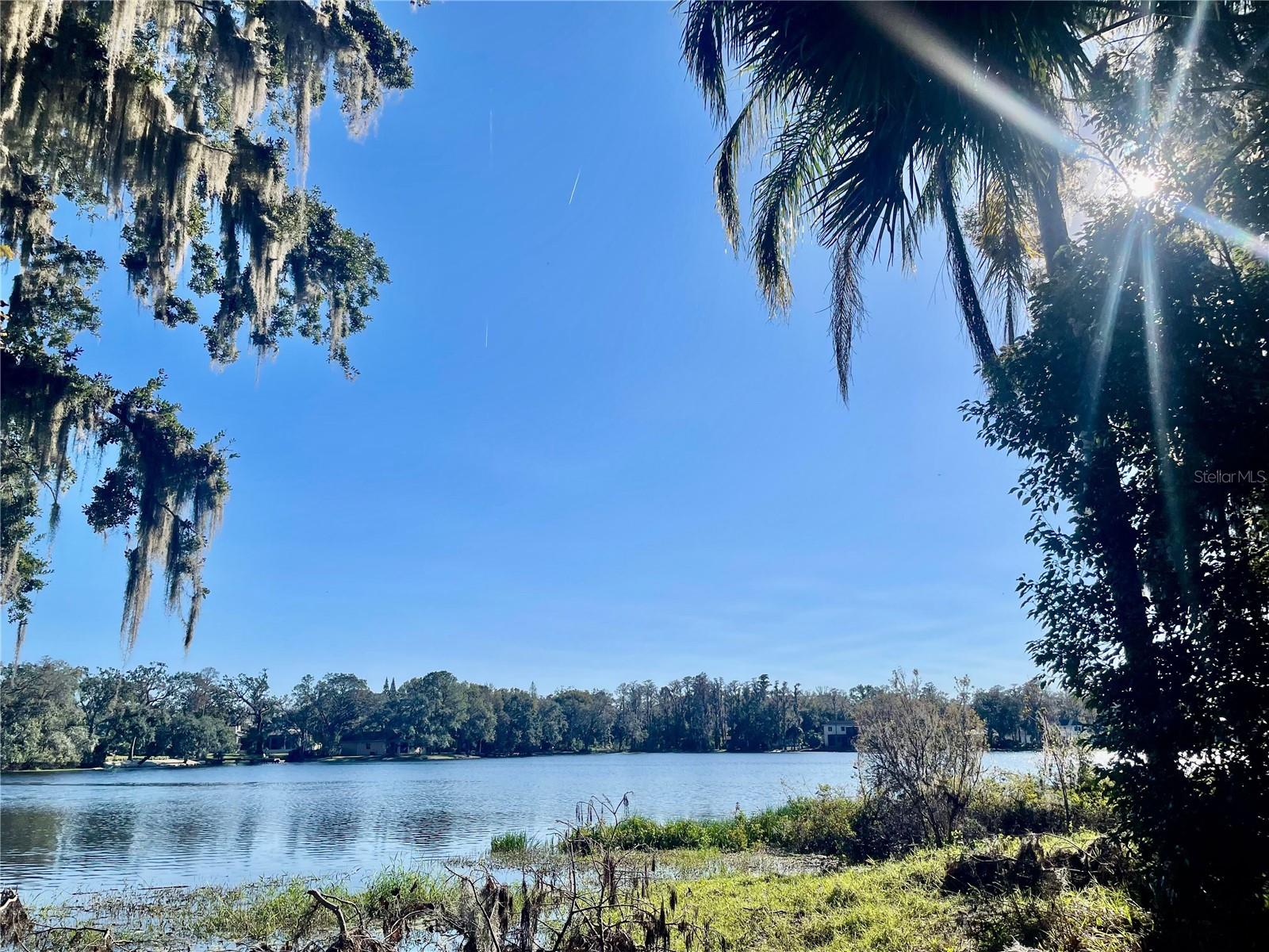 16417 LAKE BYRD DR, TAMPA, FL, 33618