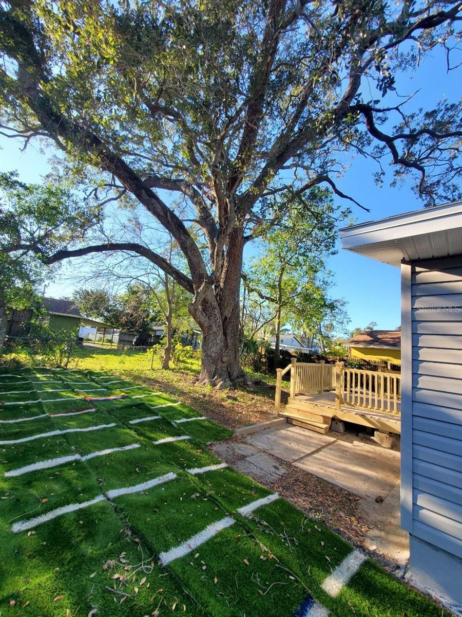 900 JASMINE AVE, HOLLY HILL, FL, 32117