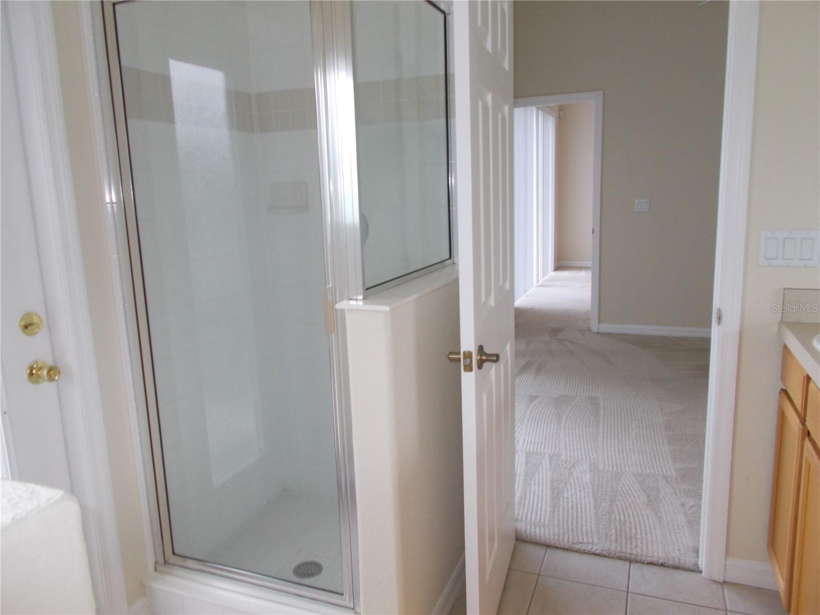 491 VIZCAY WAY, DAVENPORT, FL, 33837