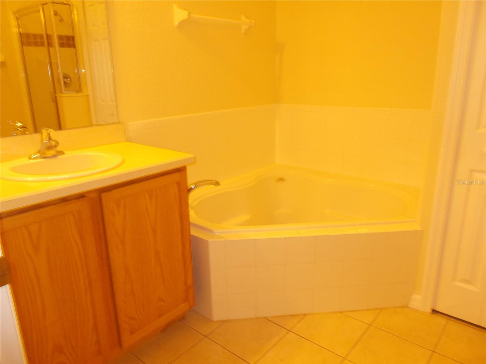 491 VIZCAY WAY, DAVENPORT, FL, 33837