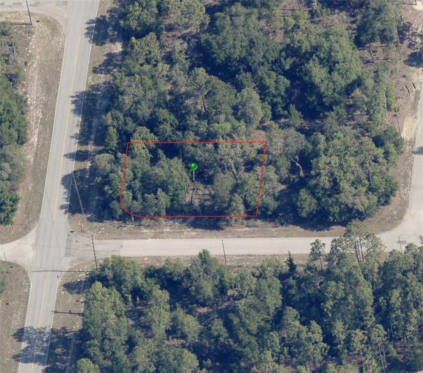 2743 W DELLWOOD ST, CITRUS SPRINGS, FL, 34433