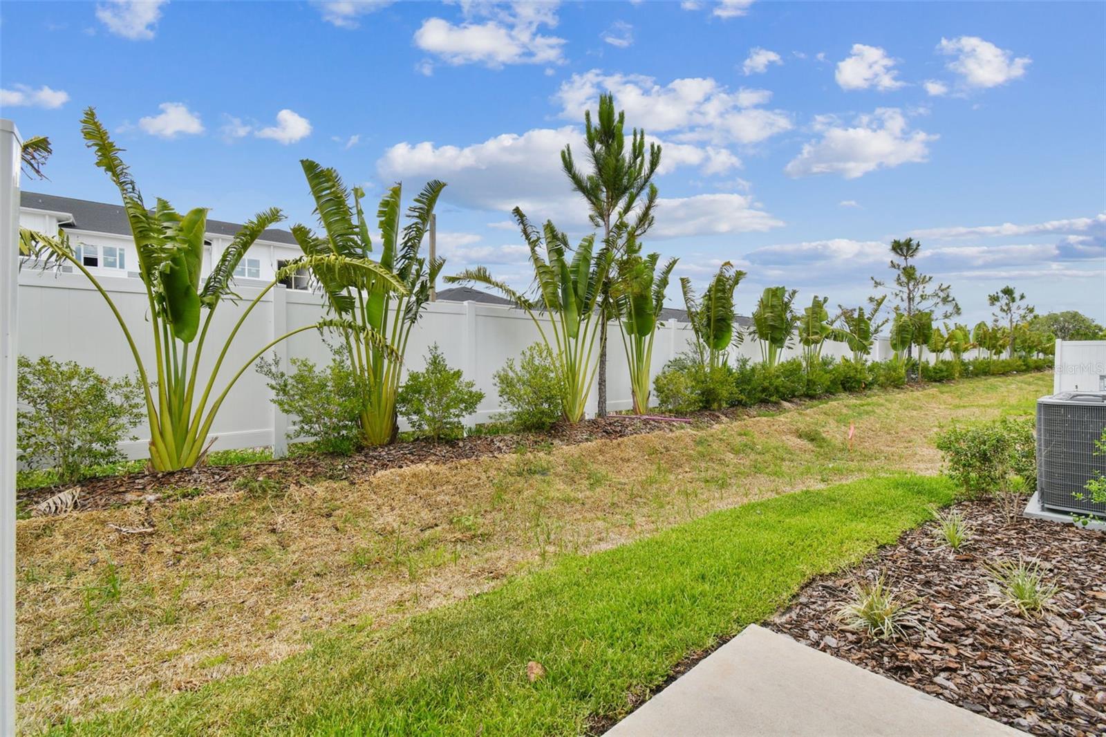 32431 LIMITLESS PL, WESLEY CHAPEL, FL, 33545