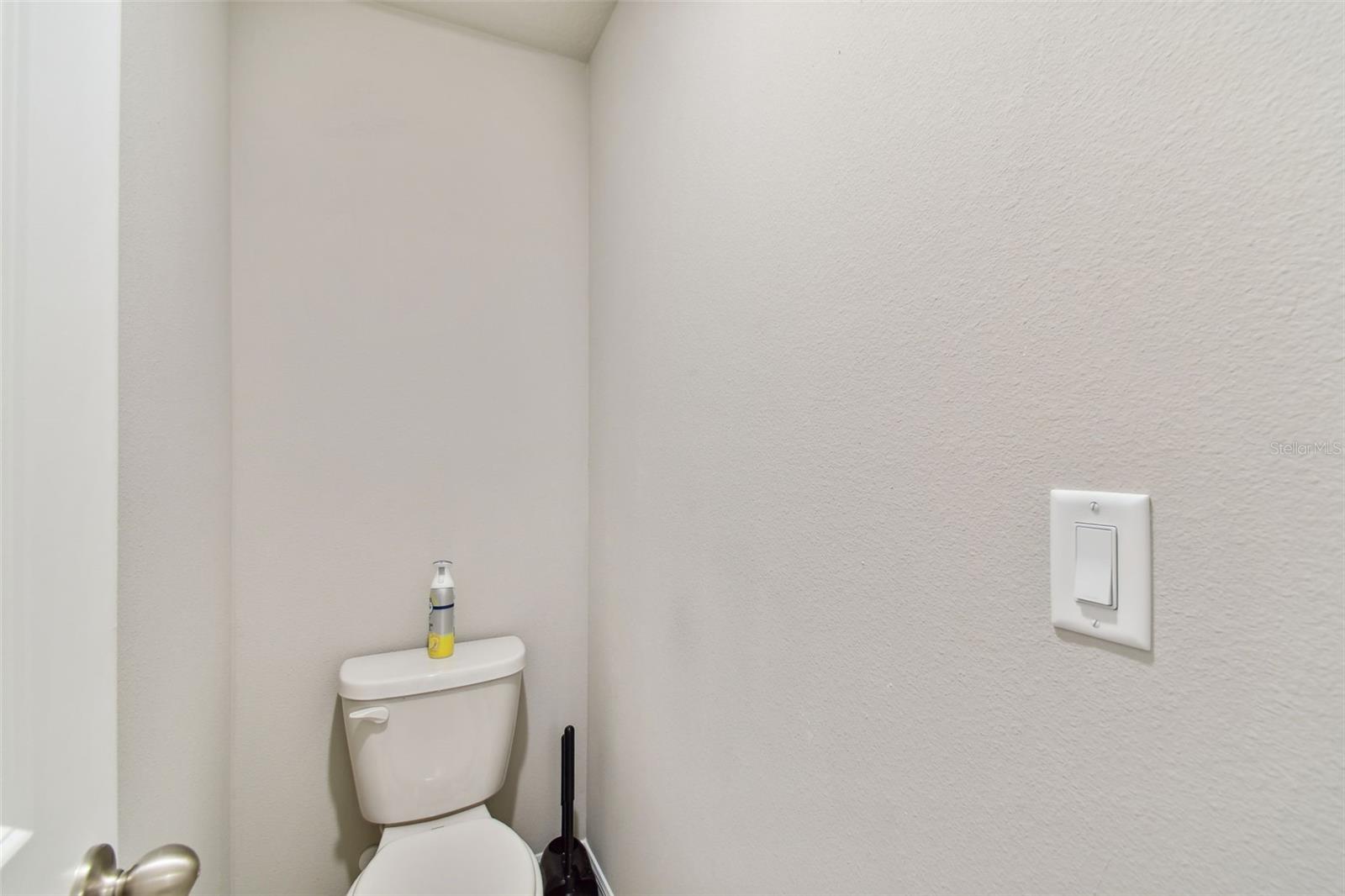 32431 LIMITLESS PL, WESLEY CHAPEL, FL, 33545