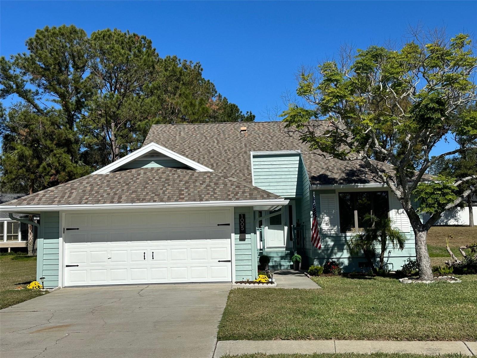 1005 LAKE AVOCA PL, TARPON SPRINGS, FL, 34689