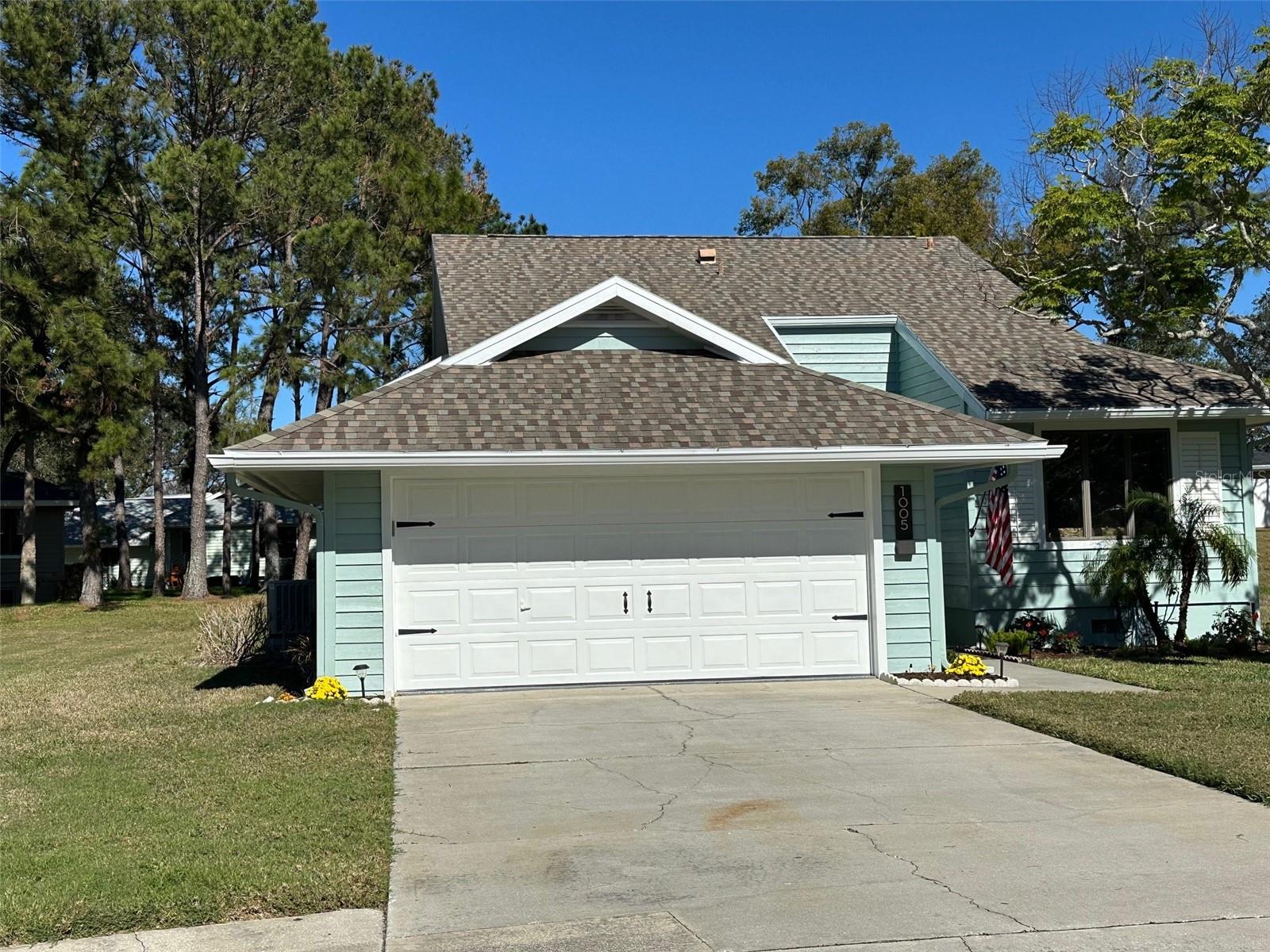 1005 LAKE AVOCA PL, TARPON SPRINGS, FL, 34689