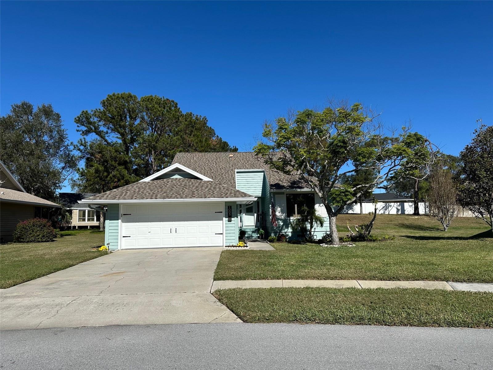 1005 LAKE AVOCA PL, TARPON SPRINGS, FL, 34689