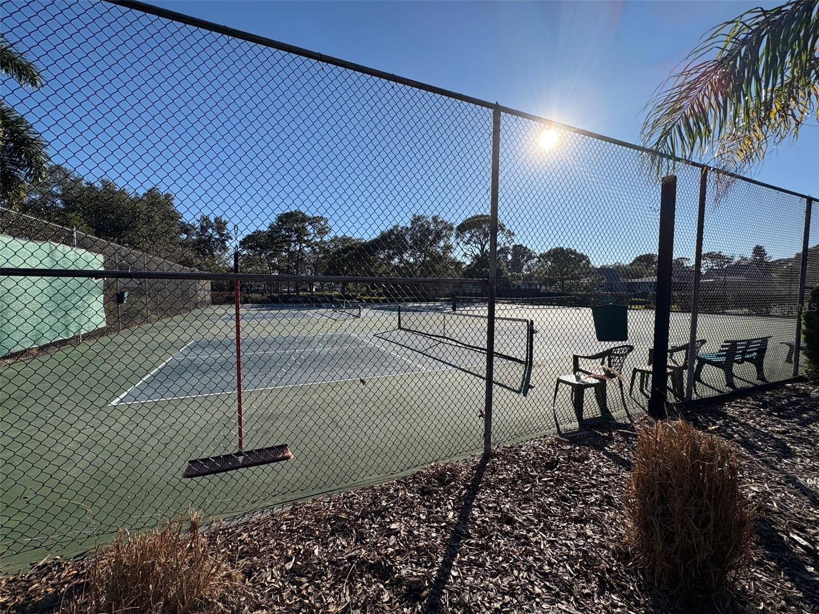 1005 LAKE AVOCA PL, TARPON SPRINGS, FL, 34689