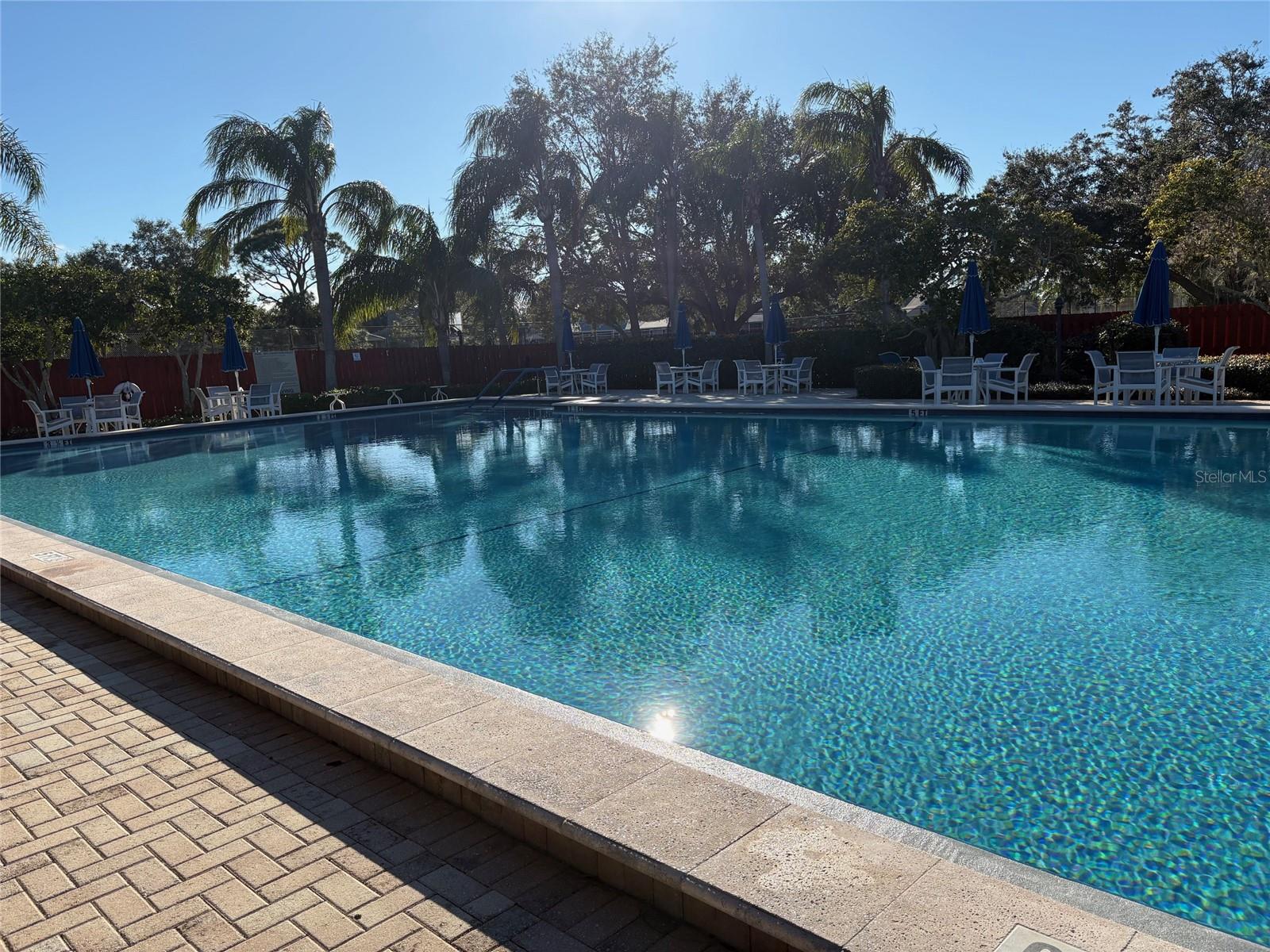 1005 LAKE AVOCA PL, TARPON SPRINGS, FL, 34689