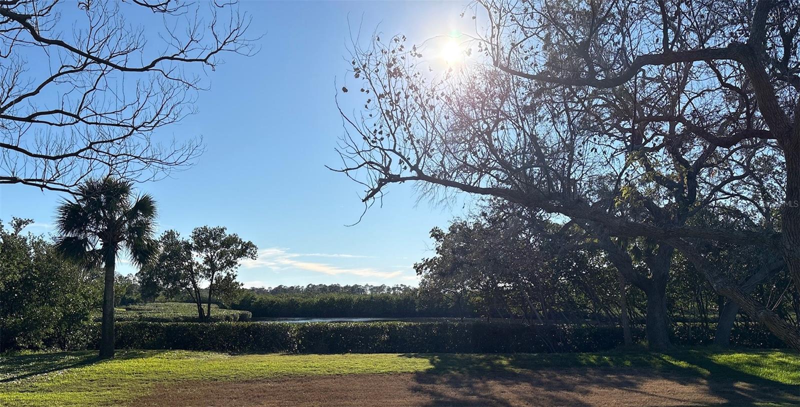1005 LAKE AVOCA PL, TARPON SPRINGS, FL, 34689
