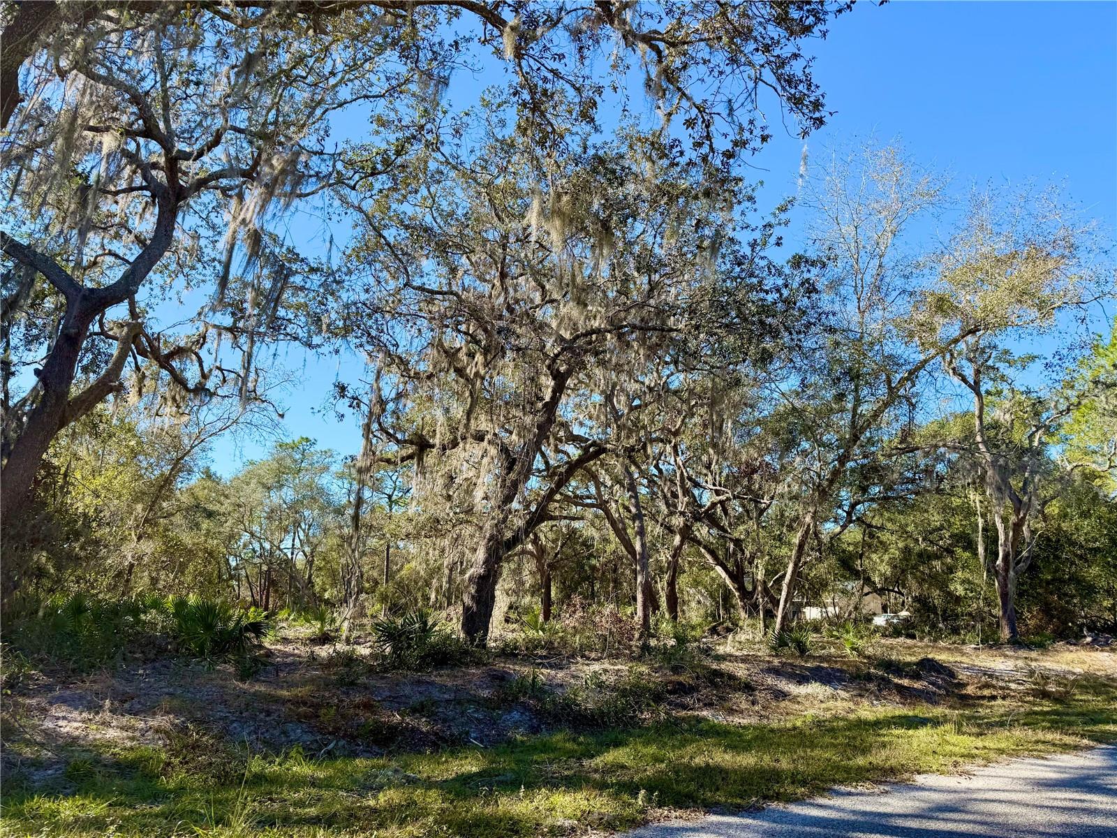 LOT 13 APRICOT AVE, EUSTIS, FL, 32736
