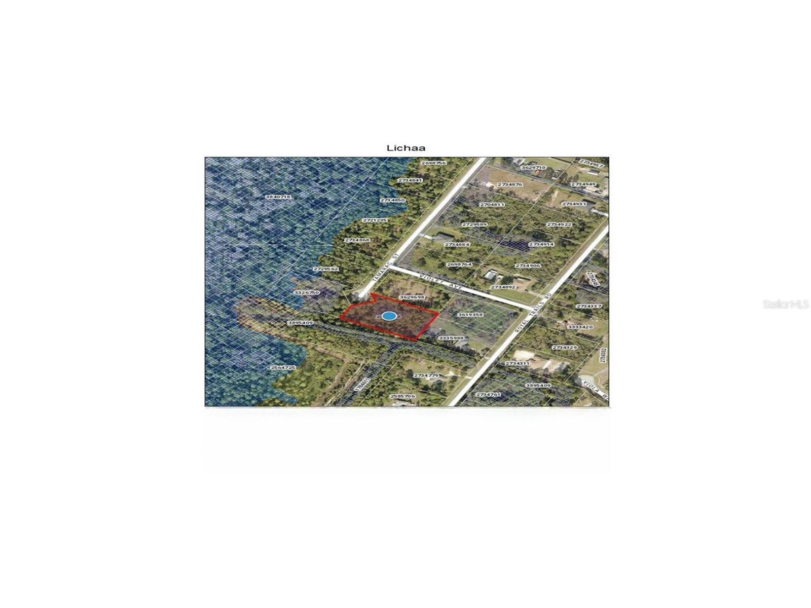 TAMARAC ST, EUSTIS, FL, 32736