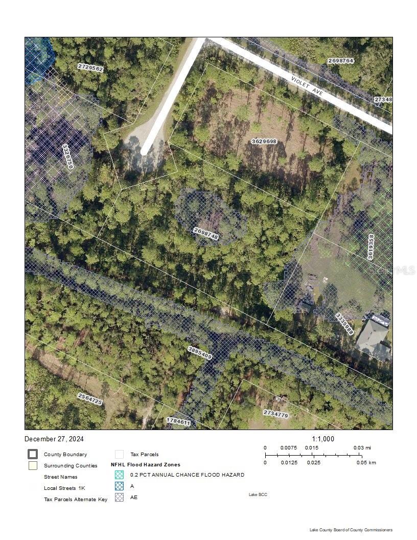 TAMARAC ST, EUSTIS, FL, 32736